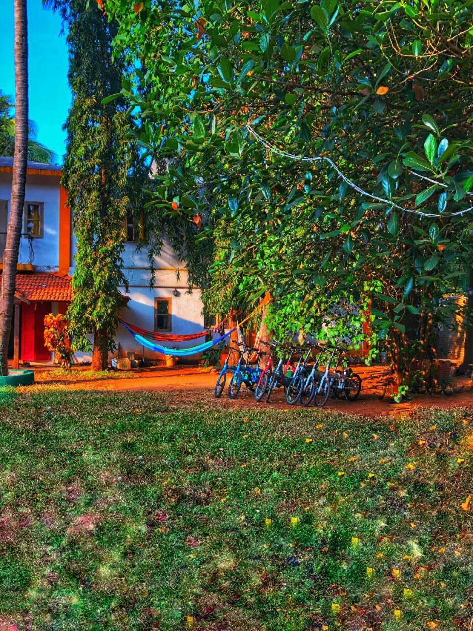 Red Door Hostel أنجونا المظهر الخارجي الصورة