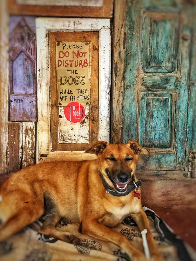Red Door Hostel أنجونا المظهر الخارجي الصورة